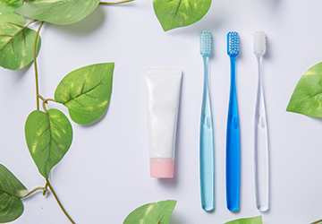 コラム,マザー,ルーフ,福岡,犬,虫歯,ウイルス,感染,歯みがき