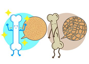 骨密度,カルシウム,ちりめんじゃこ,骨量,Ca,チーズ,コラム,ひじき,小松菜