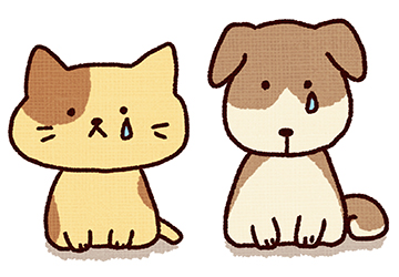 動物,コラム,病気,サイン,猫,犬,尿検査,腎臓,甘え,訴え