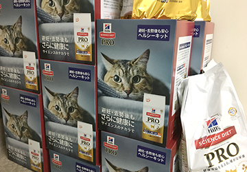 マザー,ルーフ,福岡,ご寄付,感謝,ヒルズ,キャット,フーズ