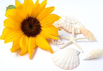 夏美人,医薬品,ヘルスケア,抗酸化,サプリ,疲労回復,インナービューティ