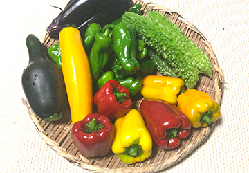 レシピ,ツナ,パプリカ,ゴーヤ,豚肉,簡単,料理,時短,美肌