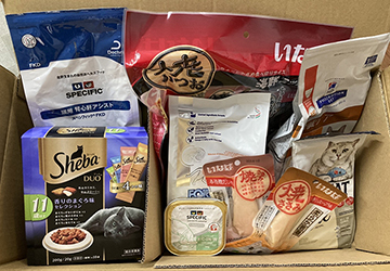 マザー,ルーフ,福岡,ご寄付,感謝,保護犬,保護猫,動物,ご飯