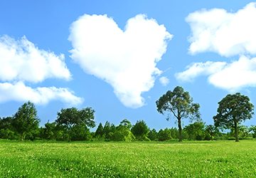 ヘルスケア,酵素,フルーツ,ヨガ,インナーケア,腸活,不調,リセット,夏疲れ