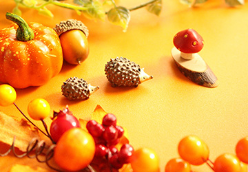 スミコミ,マイブーム,石けん,シャンプー,松山油脂,ジュウヤク,ラジオ,体操