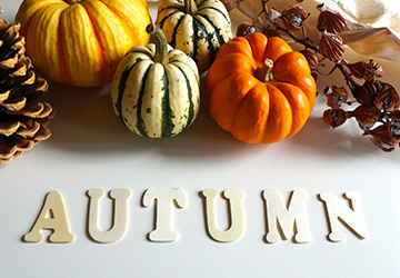 コラム,つぶやき,ライフ,スタイ,ル着物,ドライブ,地図,海外,旅行,カバン,トランク