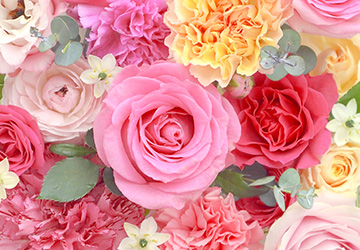 ヘルスケア,女性,ホルモン,活性化,アンチエイジング,ホルモンケア,若さ