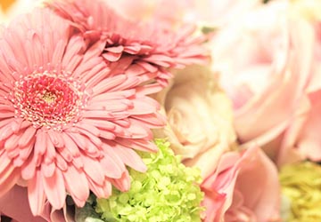 コラム,健康,美容,女性ホルモン,乾燥,スキンケア,アンチエイジング,シートマスク,小ジワ