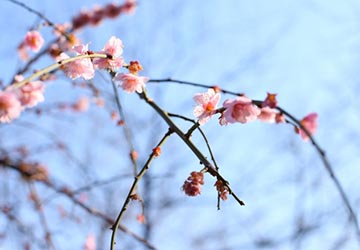 コラム,女性,ホルモン,UV,対策,紫外線,日焼け止め,お散歩,健康,美容