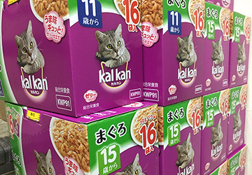 マザー,ルーフ,福岡,保護犬,保護猫,ご寄付,感謝,地域猫,kalkan