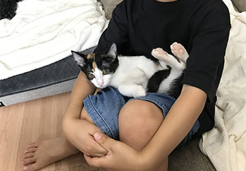 マザー,ルーフ,福岡,ボランティア,子ども,子供,情操,教育,責任感,信頼,命,動物