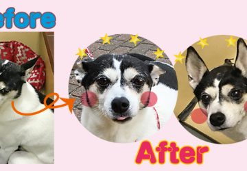 マザールーフ,サキ