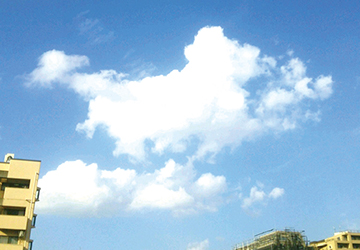 記者コラム,チャレンジ,羊毛フェルト,手作業,ヨガ,太極拳,トレーニング