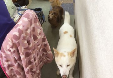 並ぶ２