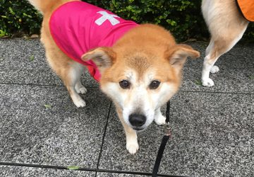 雨の日4
