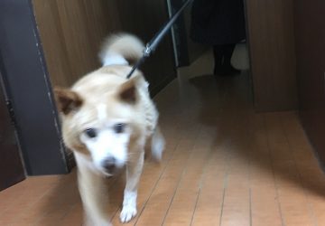 ビート2
