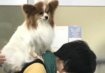 背中1