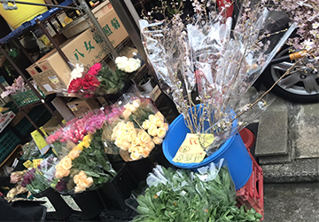 生花,八百屋,新鮮,長持ち,記者,コラム,福岡,華やぎ