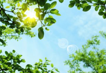 夏バテ,スキンケア,不調,紫外線,日焼け