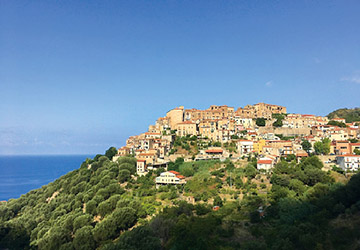 ヒット予想,南イタリア,リップメイク,断捨離,物を減らす,年中行事,季節感