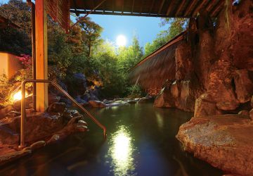 お出かけ,紫陽花,温泉,福岡,二日市温泉,船小屋,原鶴温泉