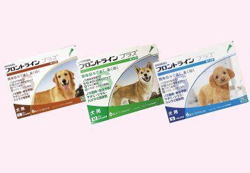 スキップ,犬,猫,ノミ,ダニ,駆除,予防