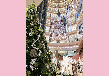 イムズ,クリスマス,イベント,切り絵,福岡,天神,日比谷花壇