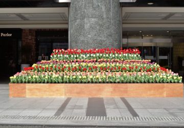 博多,リバレイン,モール,福博花しるべ