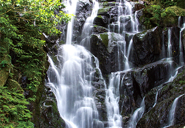 平尾台,千仏鍾乳洞,キャナルシテイ,博多,糸島,白糸の滝,ふれあいの里