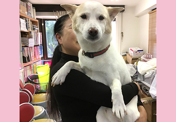 今日の犬猫,マザー,ルーフ,福岡,保護犬,癒し,SKIP,北斗