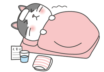 マザー,ルーフ,福岡,保護猫,嘔吐,里親,募集