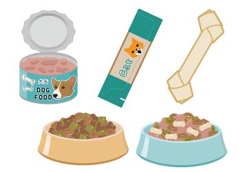 保護,高齢犬,高齢猫,病気,介護,食事,フード