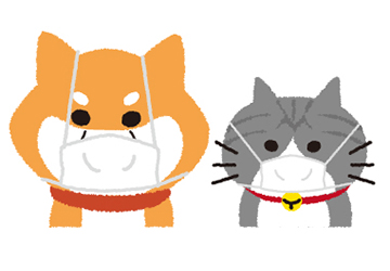 風邪,温度,チェック,犬,猫,室内飼い,外飼い