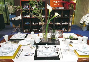 はさみ焼,ミニョン,ハカタ,mignon,hakata,波佐見焼,有田焼,林九郎窯,リバレイン