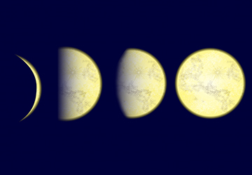 月,リズム,満ち欠け,バイオリズム,記者,コラム,満月,上弦,下弦,新月