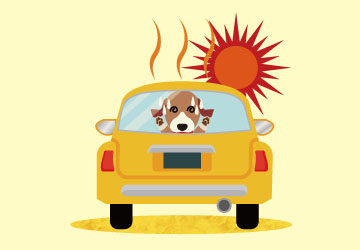 記者コラム,マザールーフ,熱中症,動物,短時間,命とり