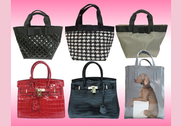 お知らせ,SKIP,ファッション,倶楽部,福岡,イムズ,出店,2019,秋