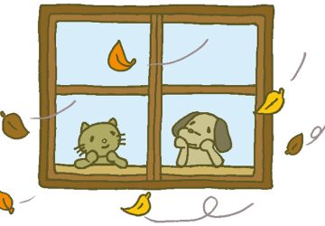 マザー,ルーフ,福岡,保護犬,保護猫,風邪,注意