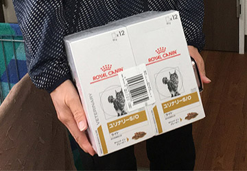 マザー,ルーフ,福岡,保護犬,保護猫,アマゾン,ほしいもの,リスト,寄付,支援,お願い