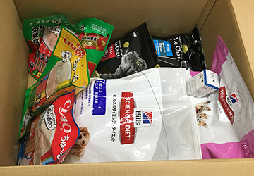 マザー,ルーフ,福岡,保護犬,保護猫,アマゾン,ほしいもの,リスト,寄付,支援,お願い