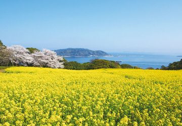能古島