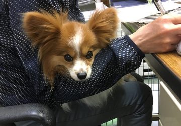 ピーチ１