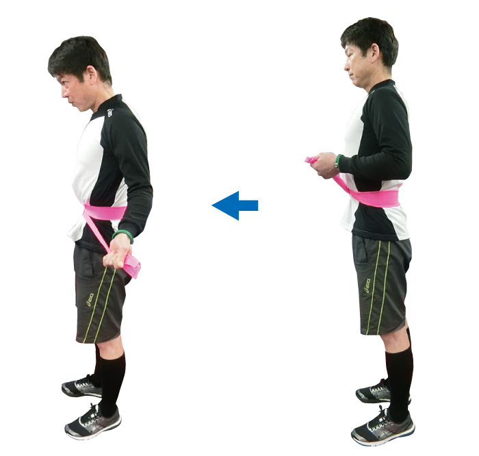 体幹,トレーニング,お腹周り,猪俣,辰巳,引き締め,インナーマッスル