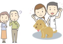 動物病院では遠慮しないでなんでも聞く！