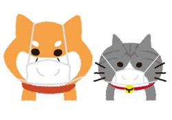犬や猫も風邪をひきます！