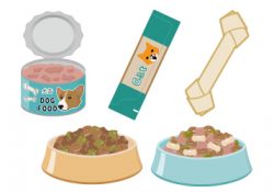 高齢の猫や犬たちが病気をしたら食べさせるのが 一苦労