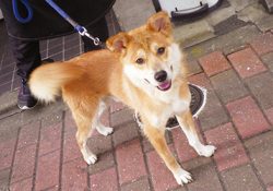 このこ誰ですか？