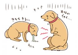 犬たちも下痢をしています。何かあったのでしょうか？