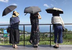 効率良く紫外線をカットできるのはアレだった！