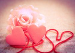 SKIP恋愛・結婚調査隊！「彼の仕草」編